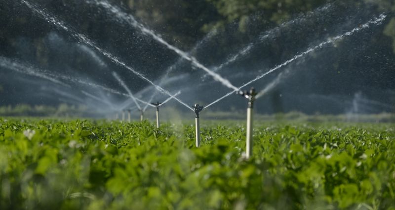 Mist Irrigation Installation in Ventura County, CA